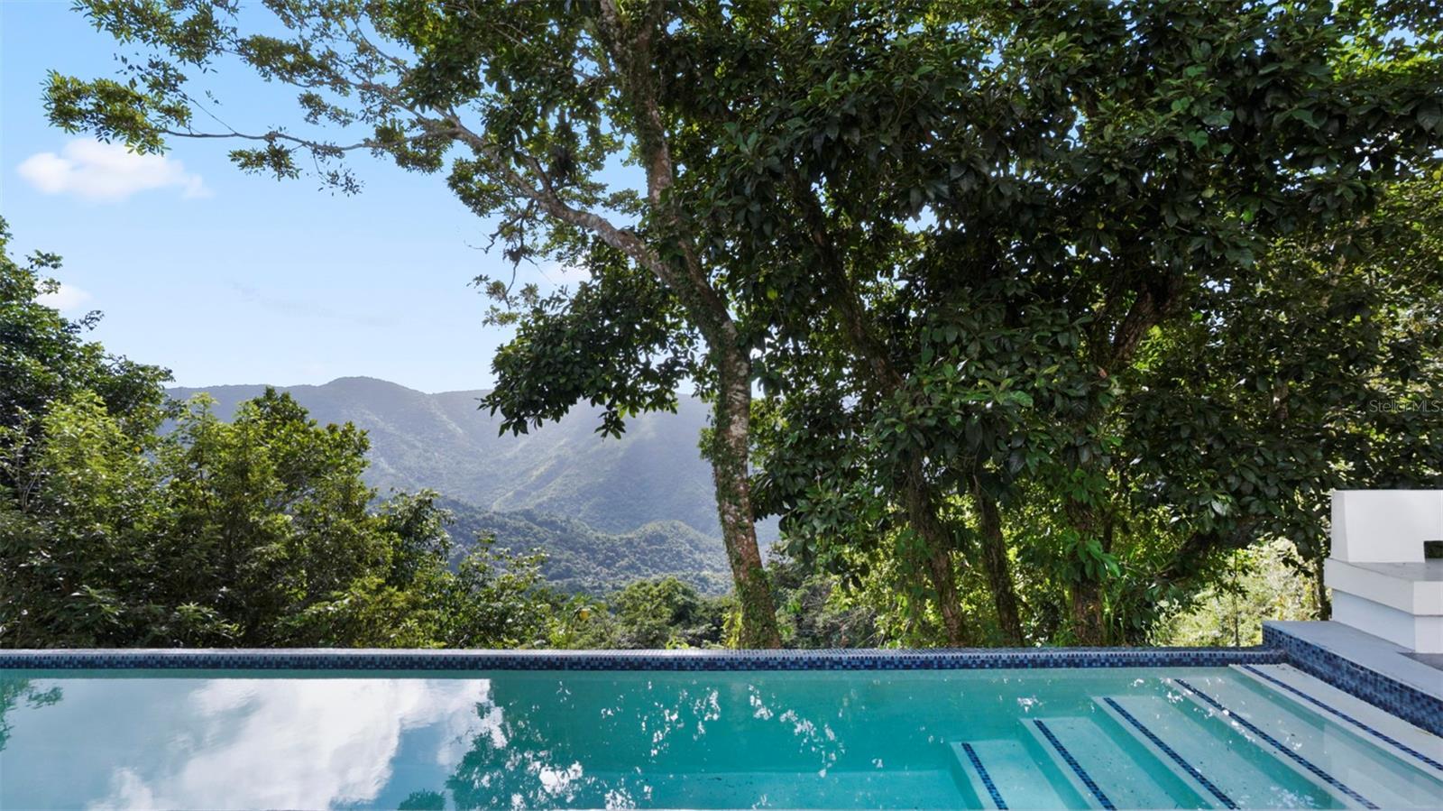 Photo of Listing #PR9118666