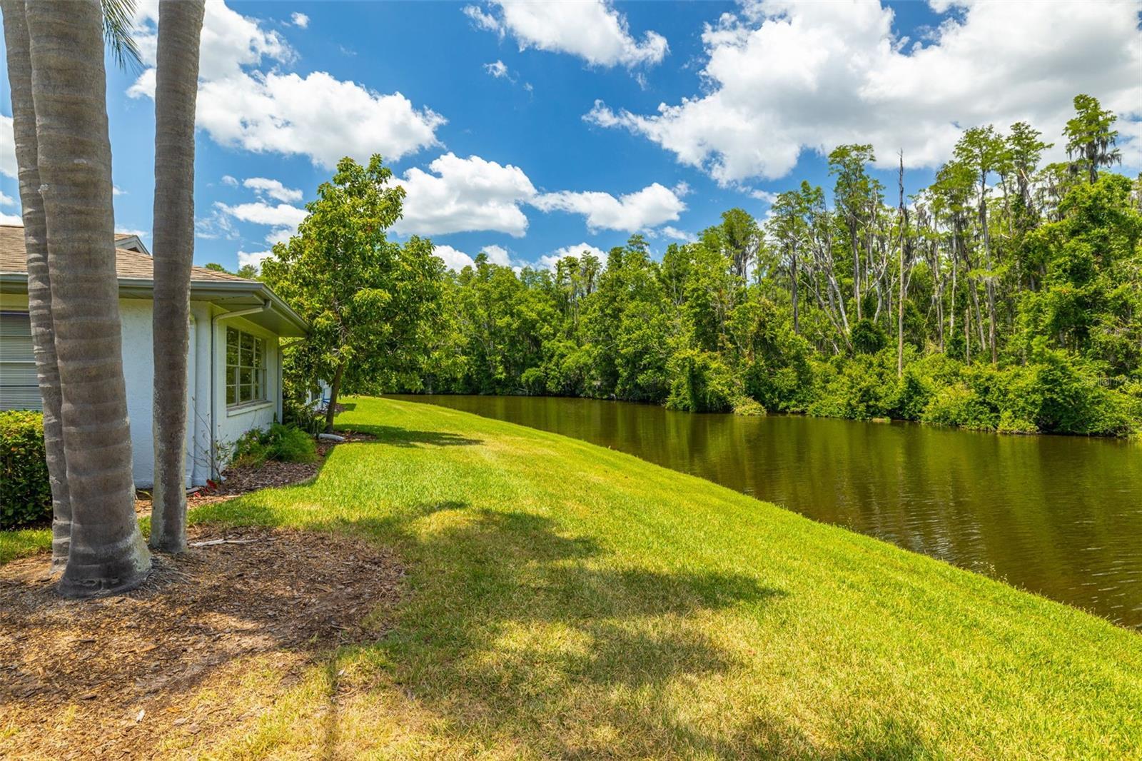 2024 Heathfield Circle 155, SUN CITY CENTER, FL 33573 T3524298 NV
