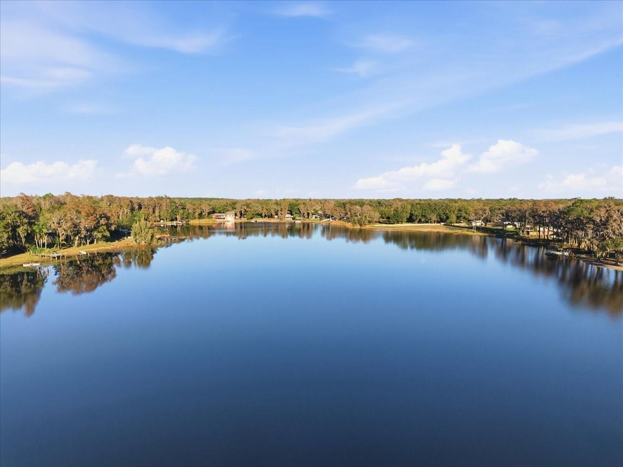 Photo of Listing #TB8352345