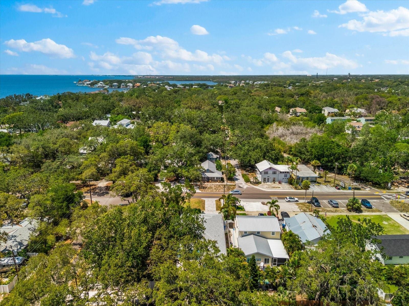 Photo of Listing #TB8384338