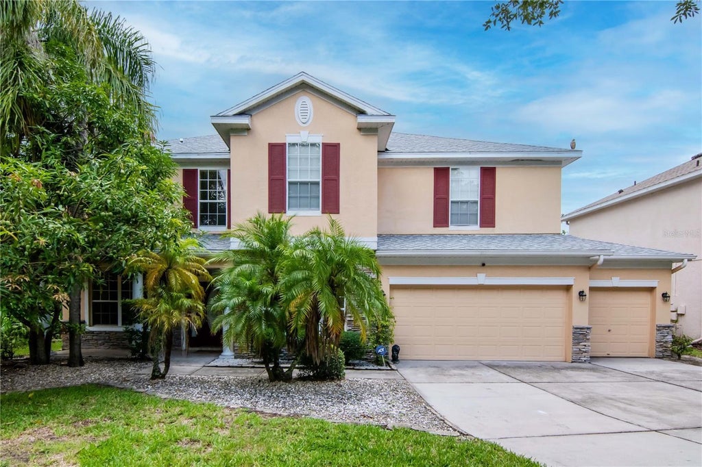 16115 Colchester Palms Drive, TAMPA
