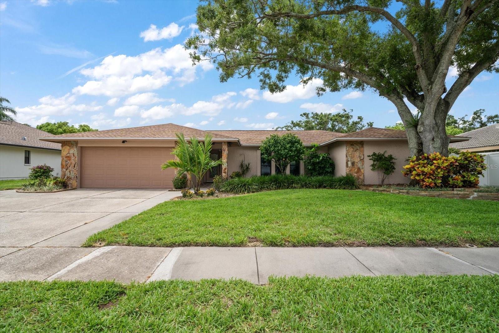 Photo of Listing #TB8404127