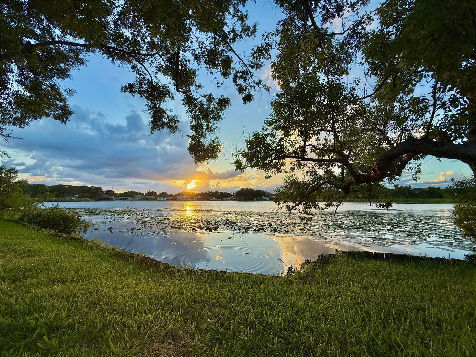 Photo of Listing #TB8409030