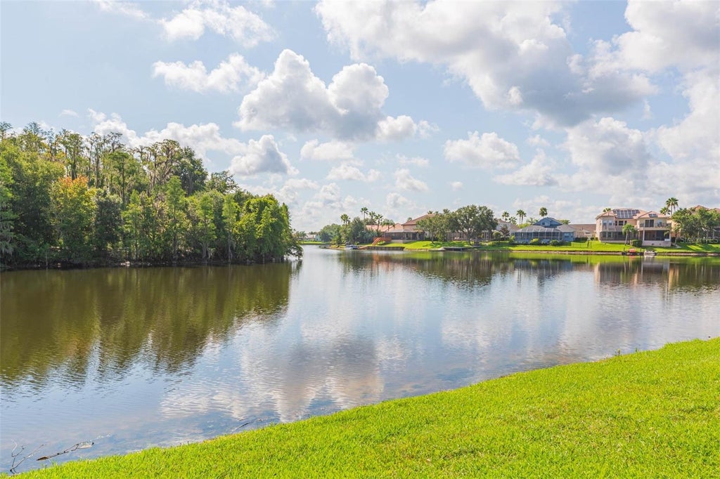 Listing photo for 10725 Cory Lake Drive, TAMPA, FL