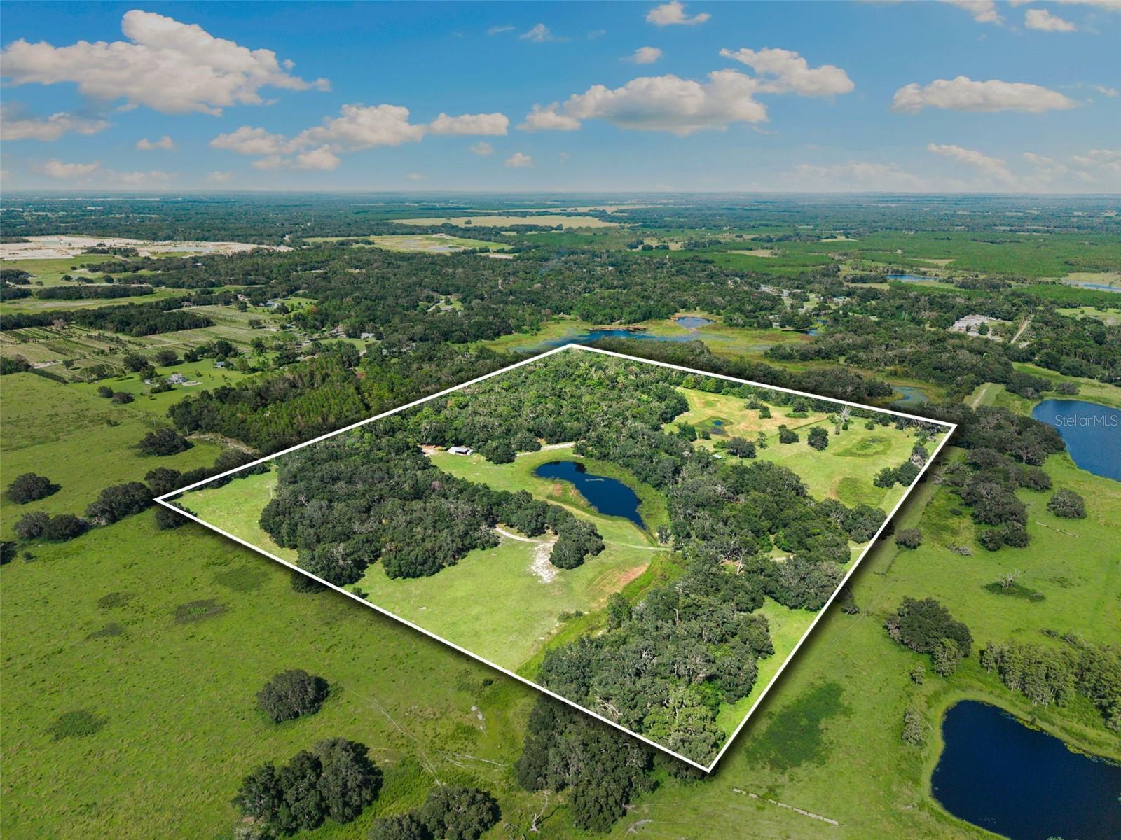 Photo of Listing #TB8419309