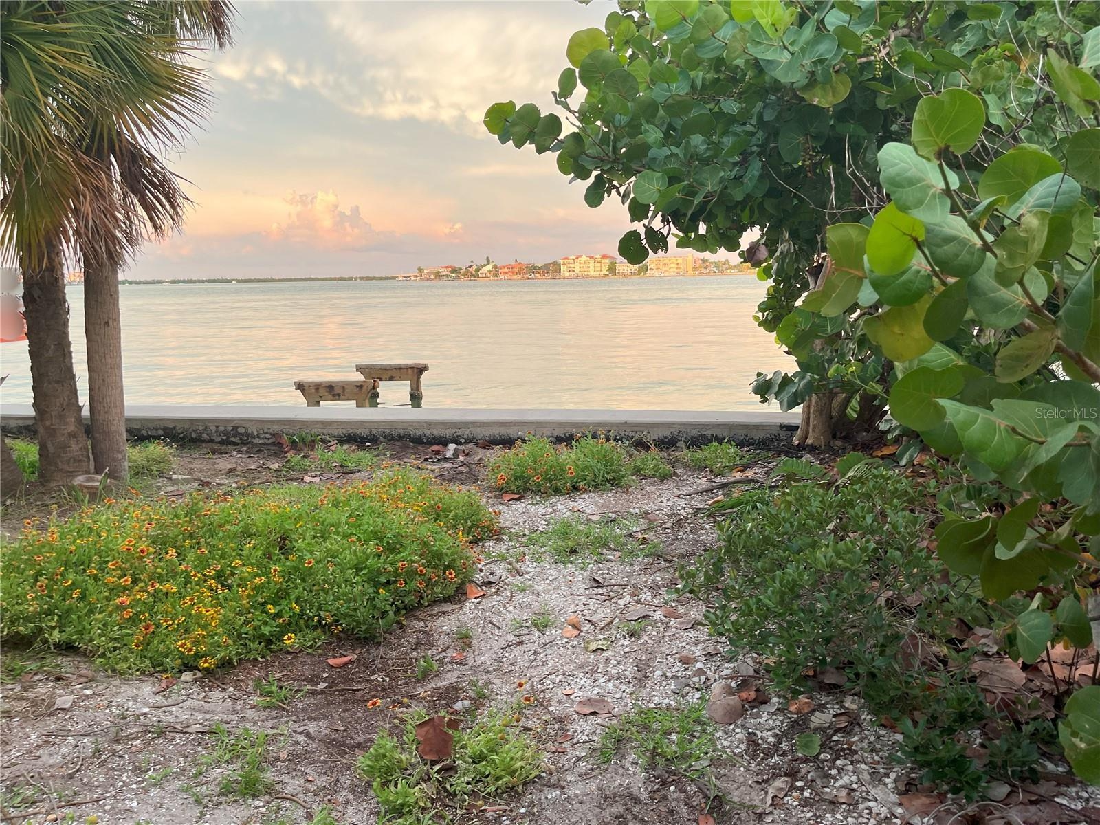 Photo of Listing #TB8421019