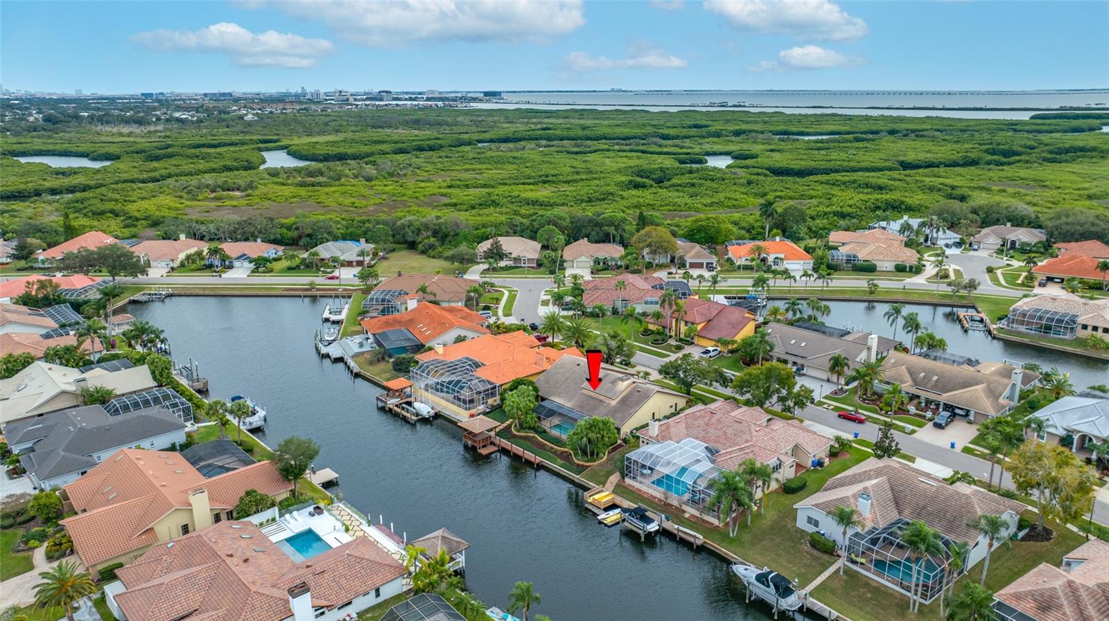 Photo of Listing #TB8426885