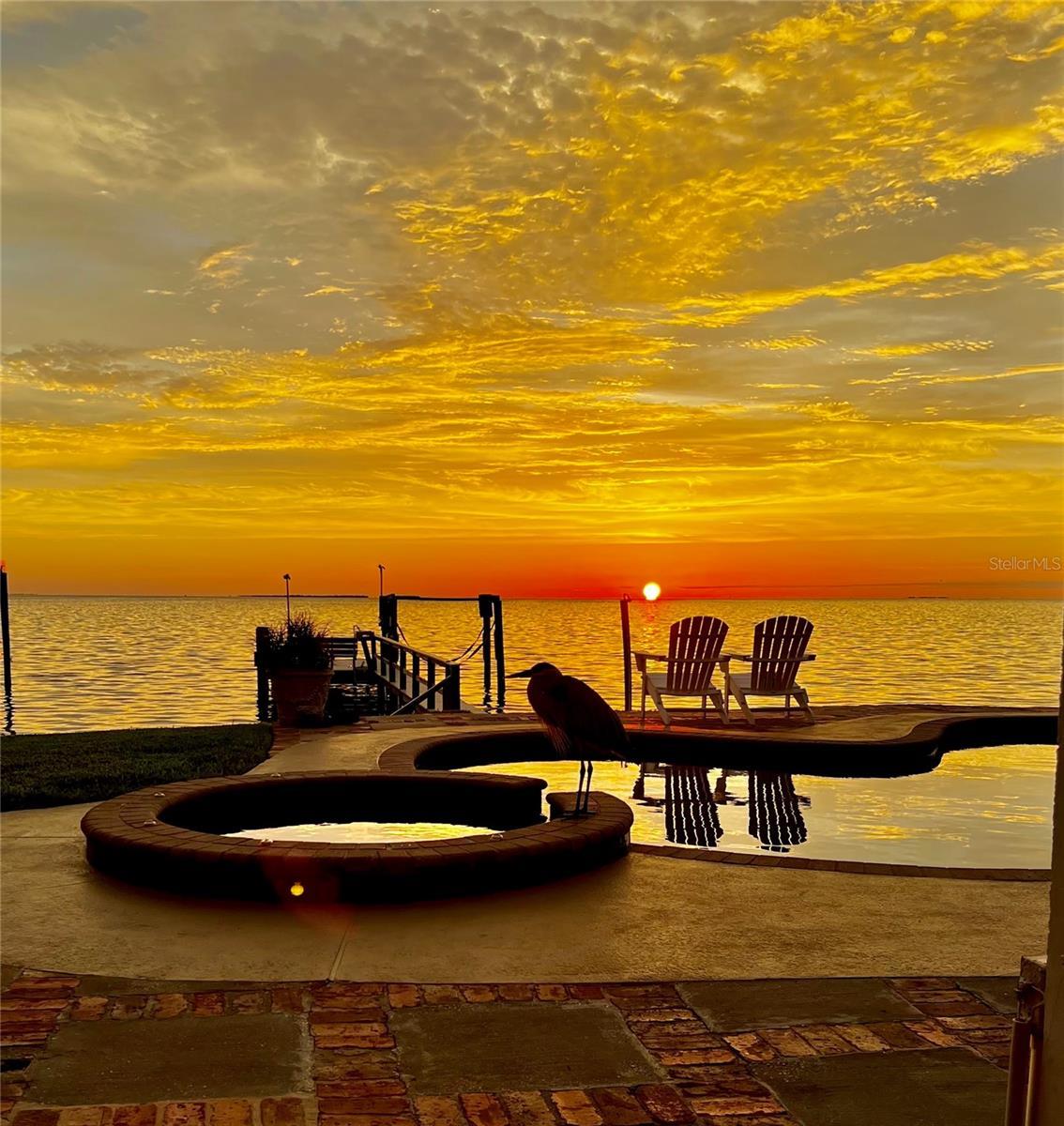 Photo of Listing #TB8433362