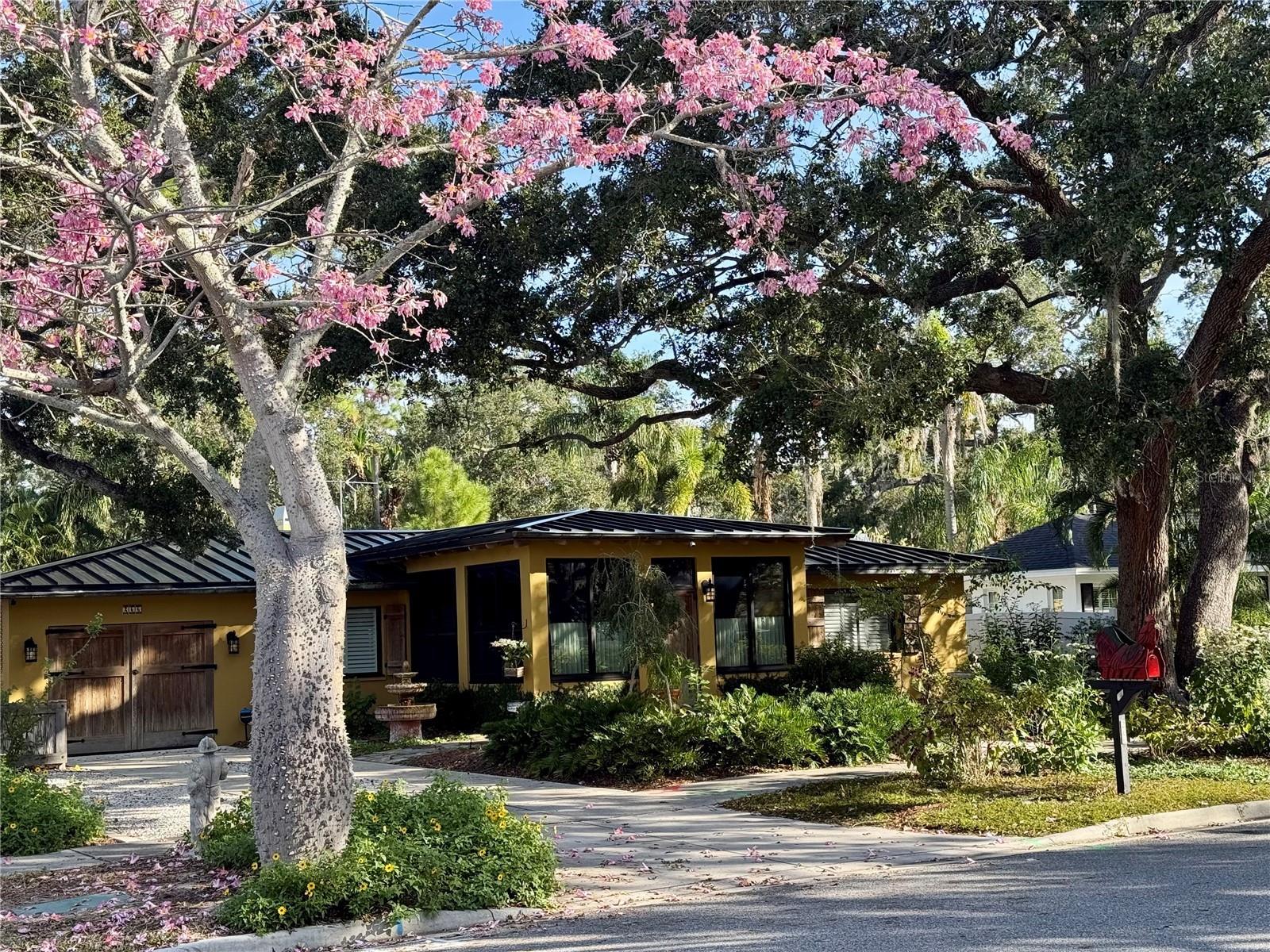 Photo of Listing #TB8435213