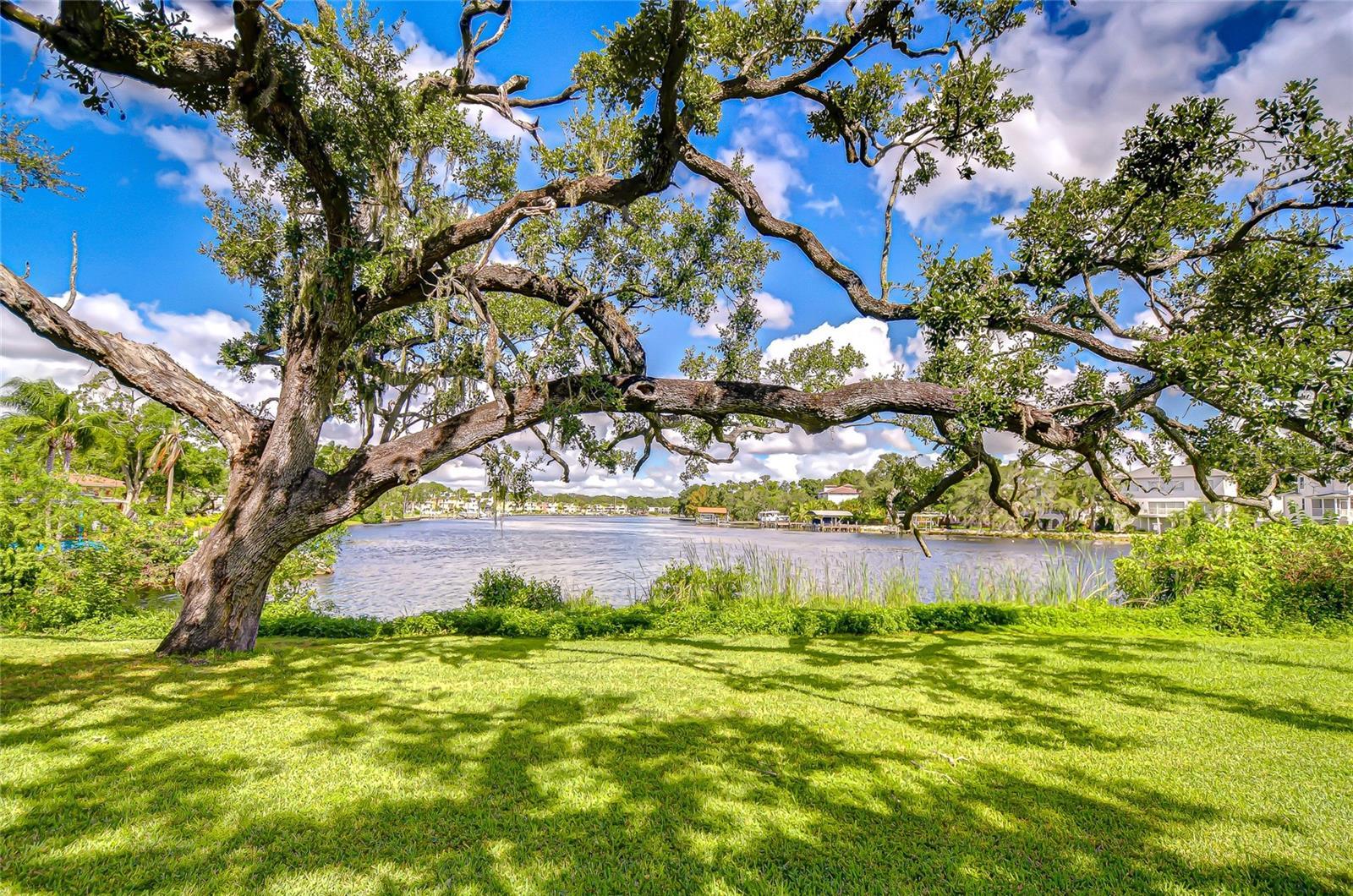 Photo of Listing #TB8437056