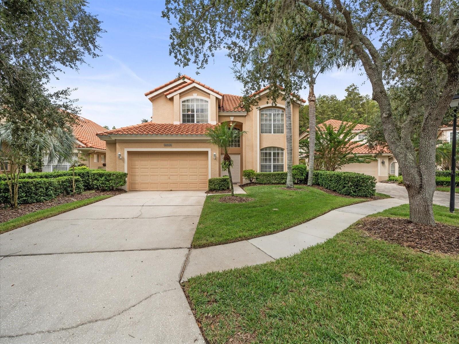 Photo of Listing #TB8437632