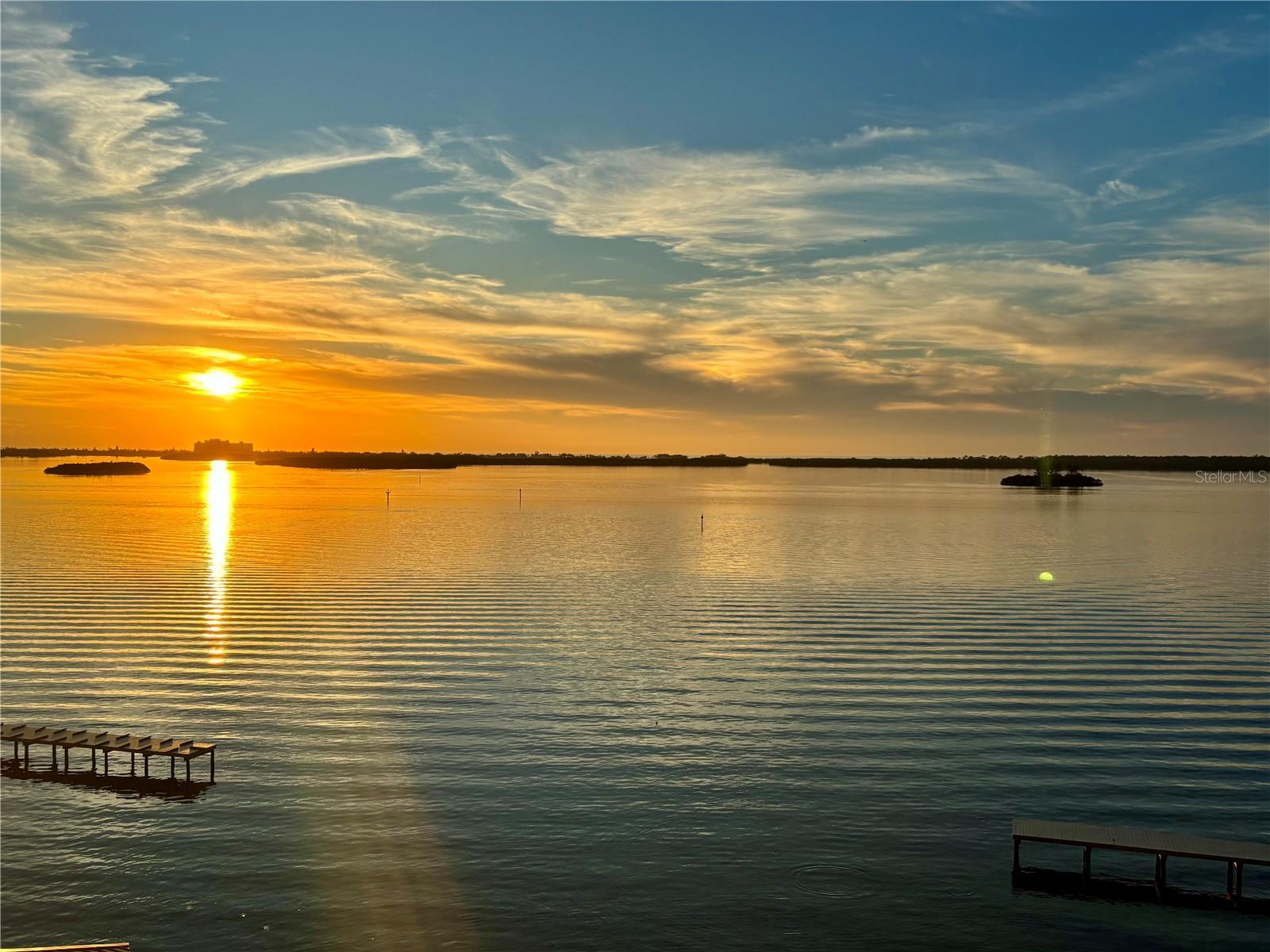 Photo of Listing #TB8443108