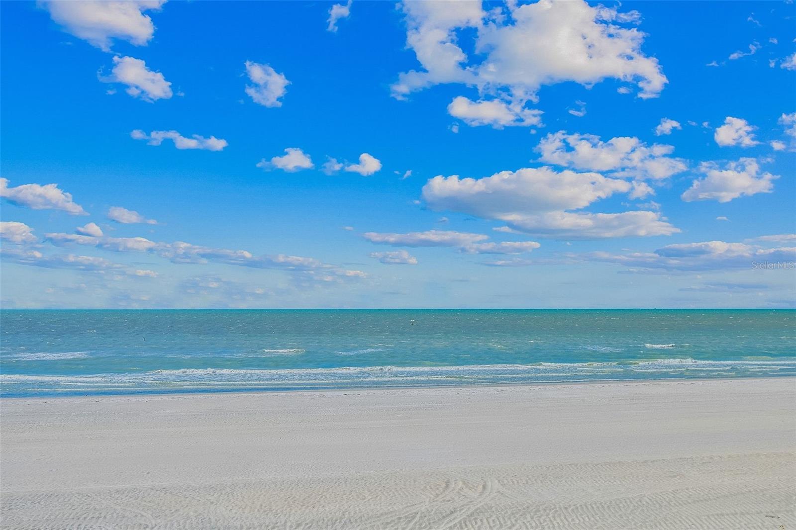 Photo of Listing #TB8443496