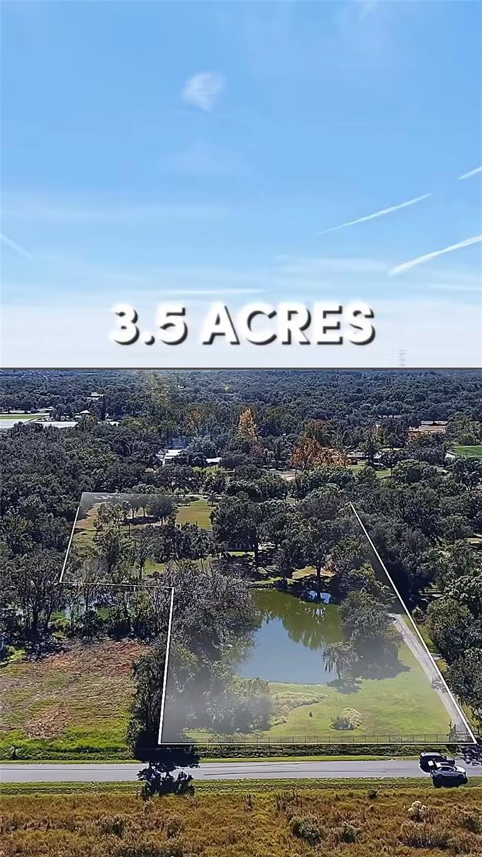 Photo of Listing #TB8446950