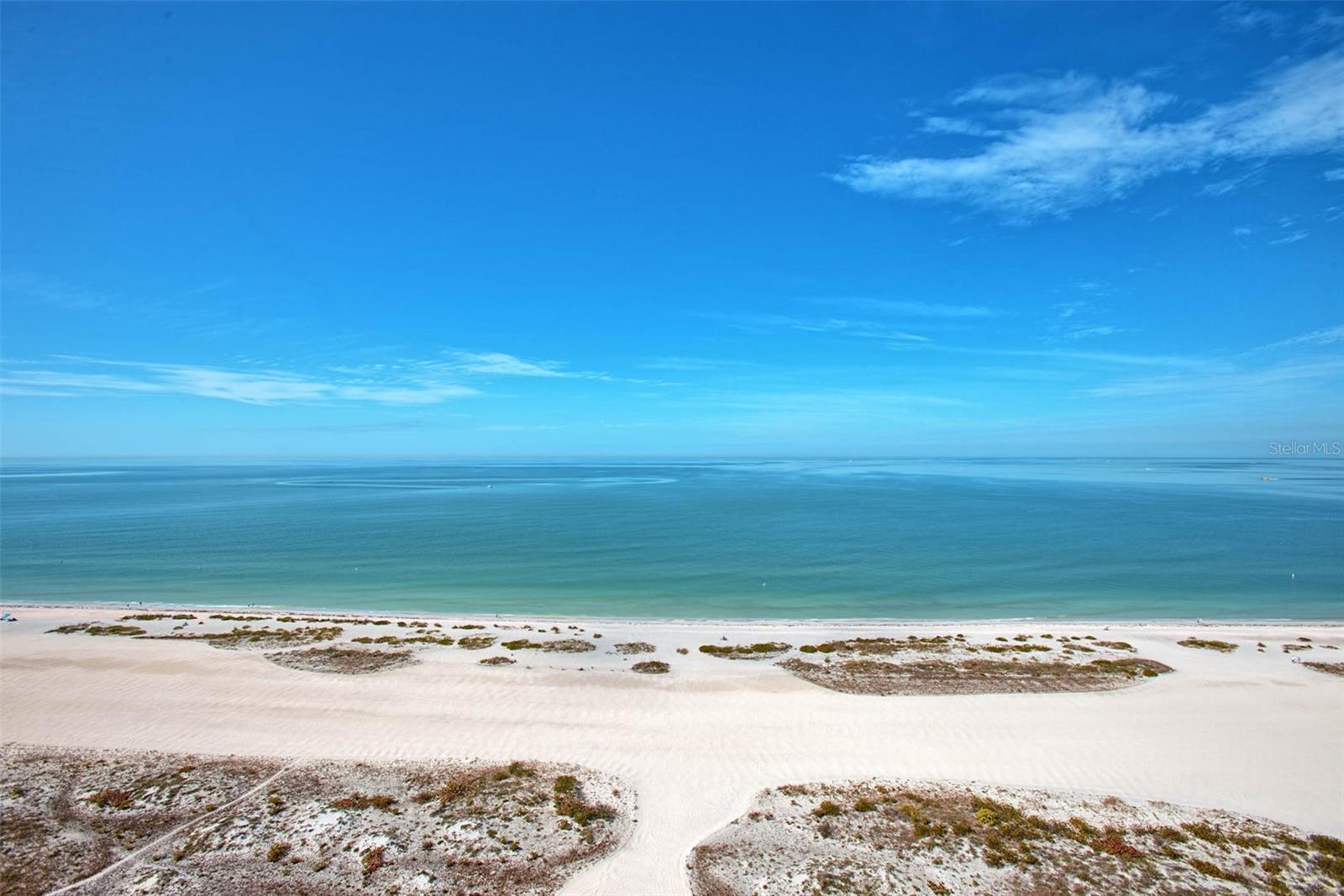 Photo of Listing #TB8461562