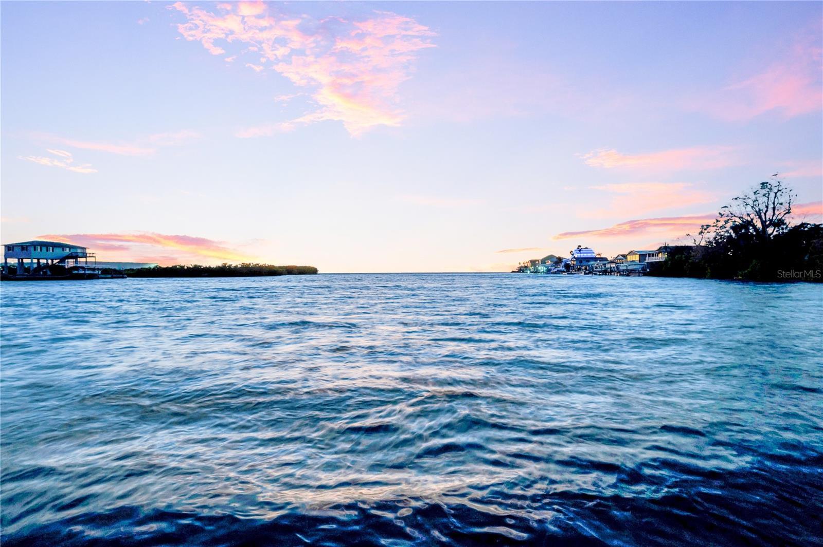 Photo of Listing #TB8465922