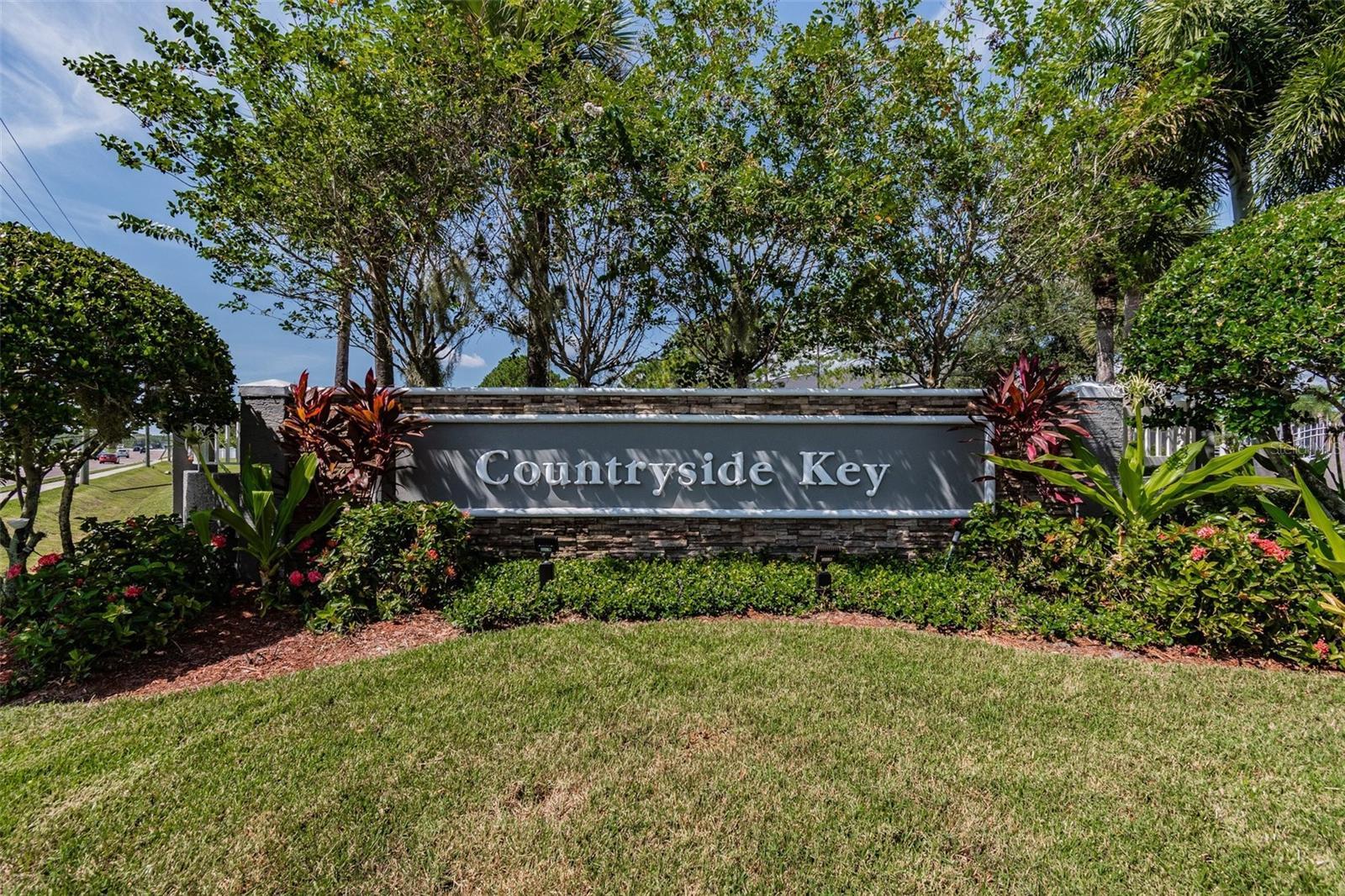 253 Countryside Key Boulevard, OLDSMAR, FL 34677 U8226844 NV Realty Group