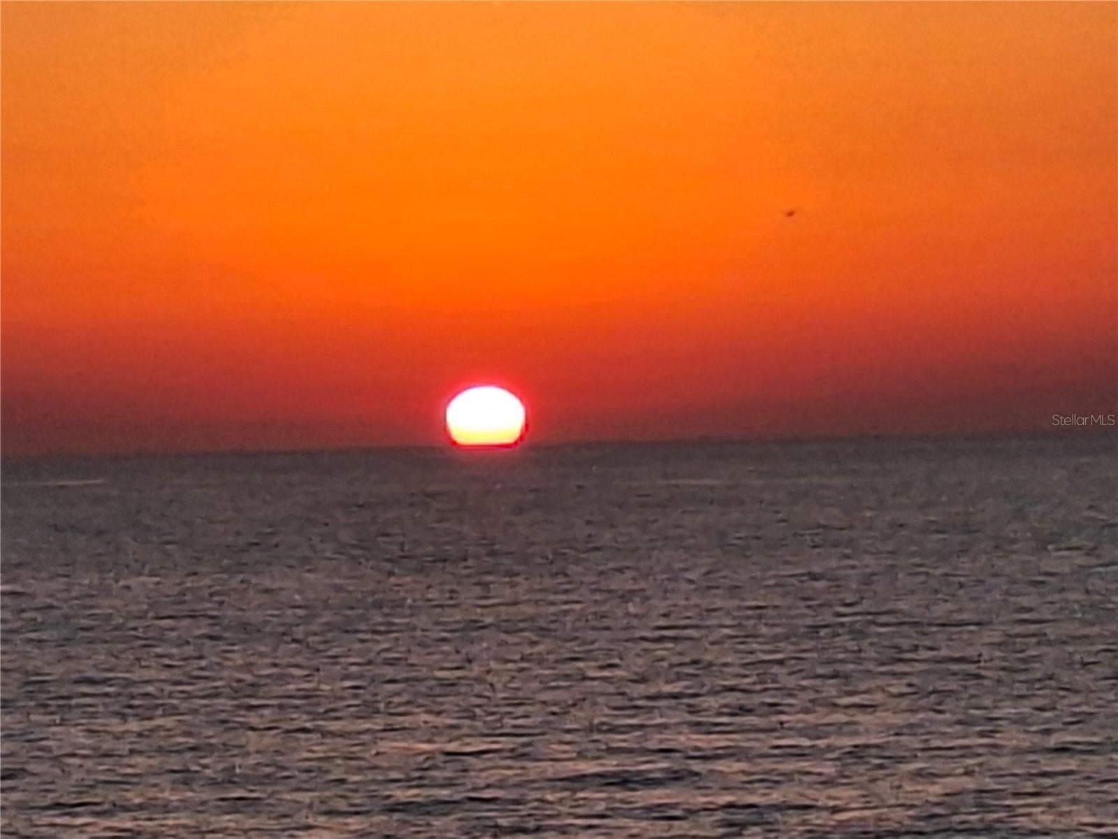 Photo of Listing #U8232277