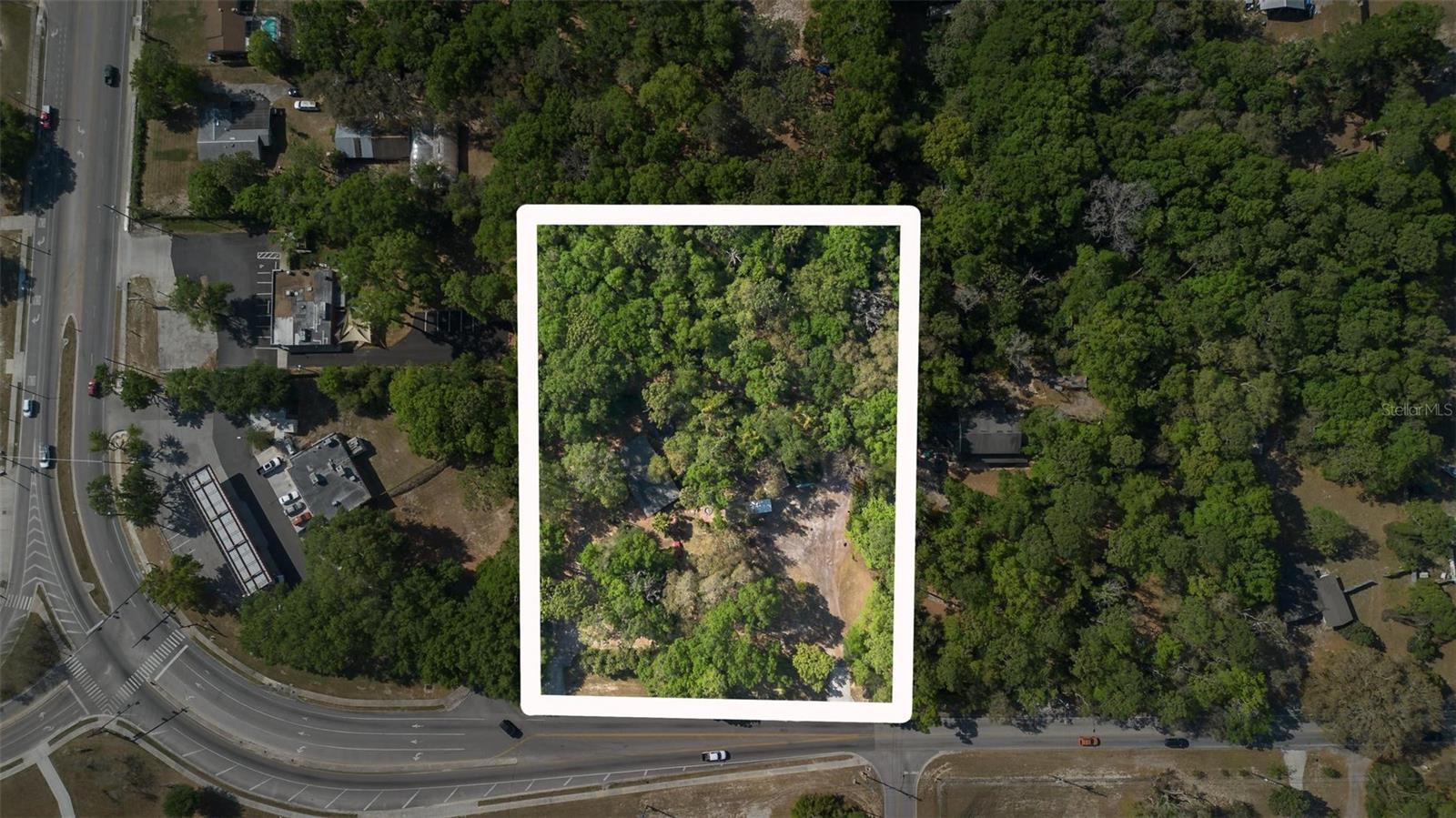 Photo of Listing #V4941760