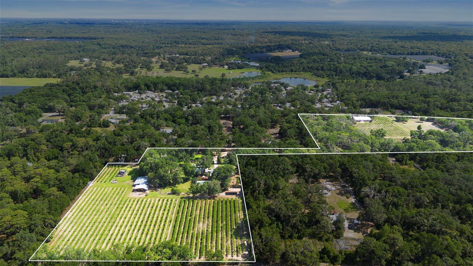 Photo of Listing #V4942965