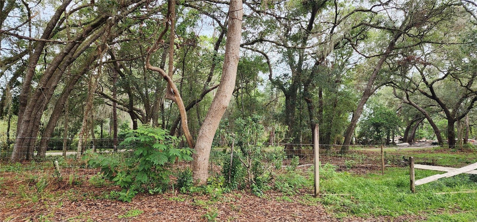 Photo of Listing #V4944581