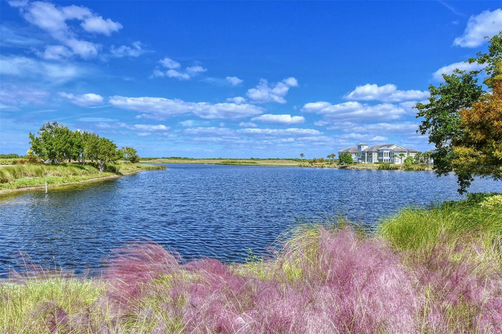 Photo of Listing #A4587673