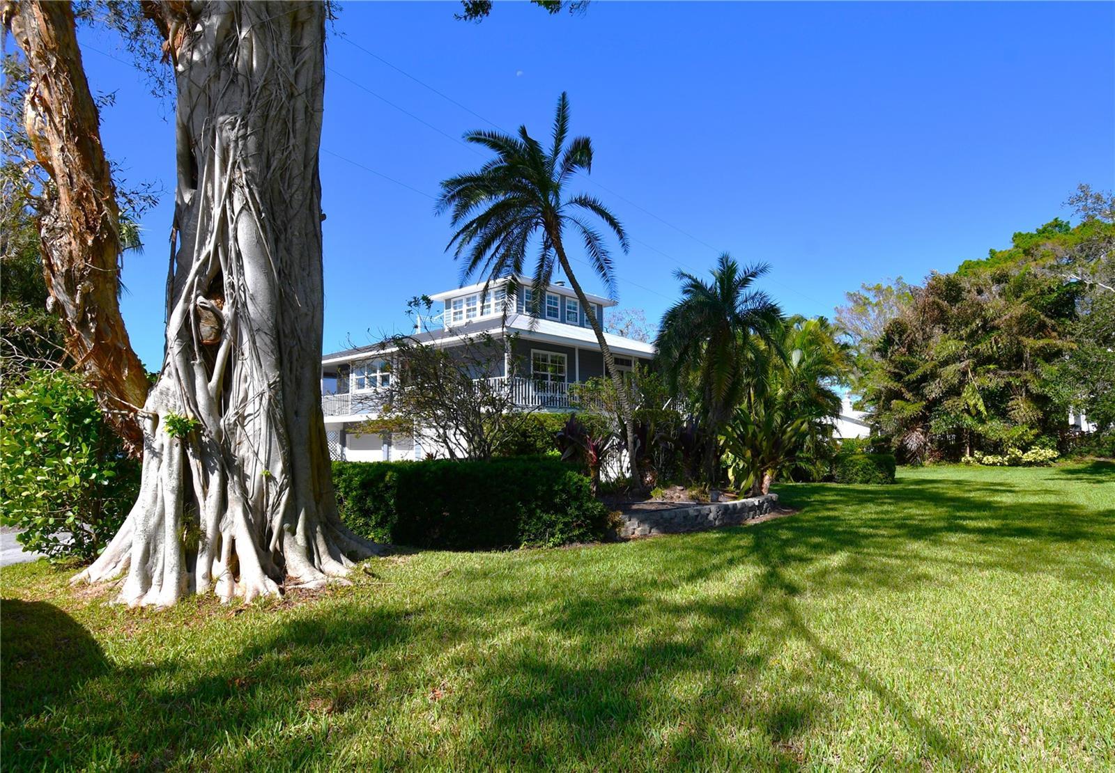 Photo of Listing #A4646230