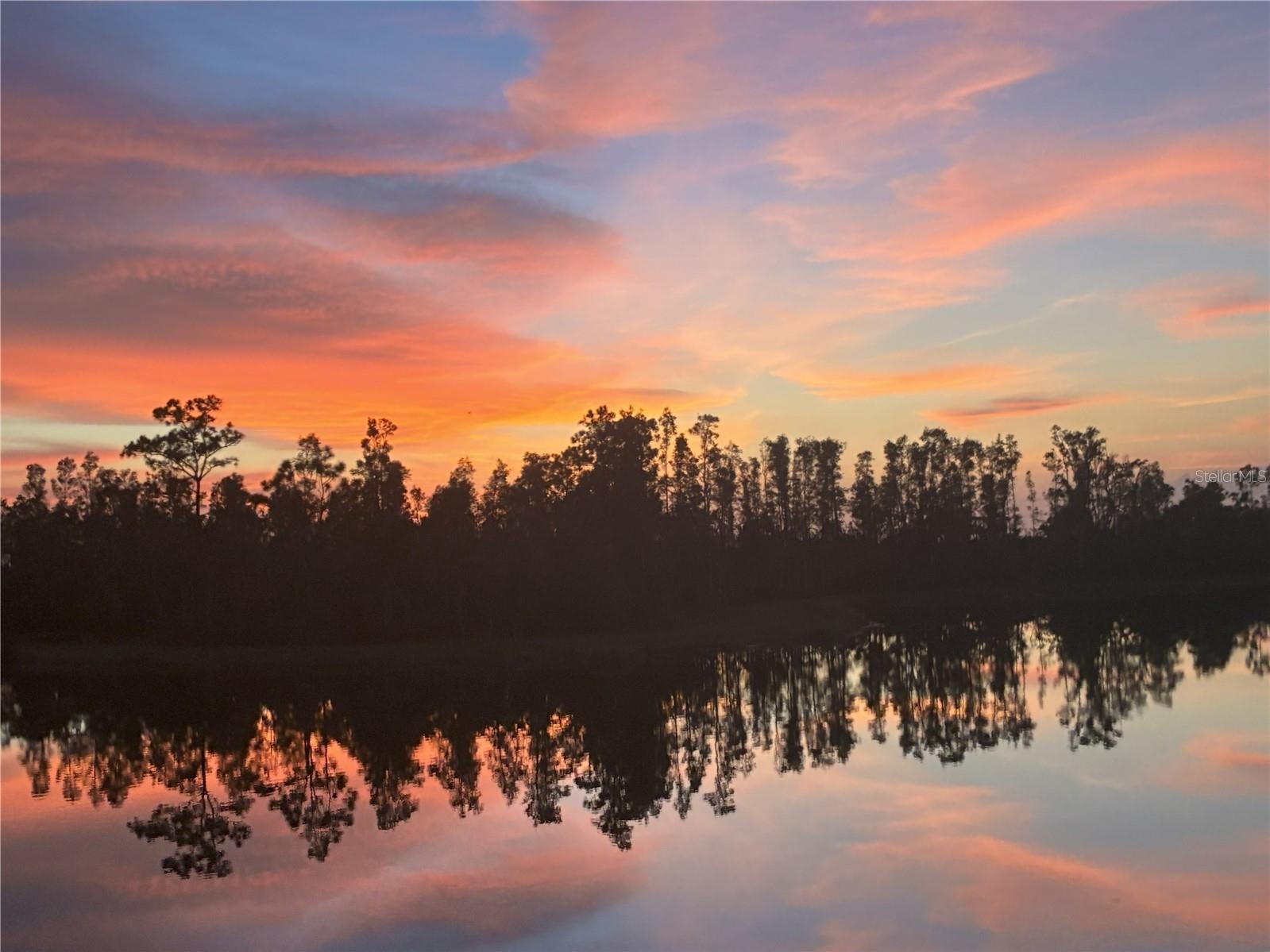 Photo of Listing #C7513495