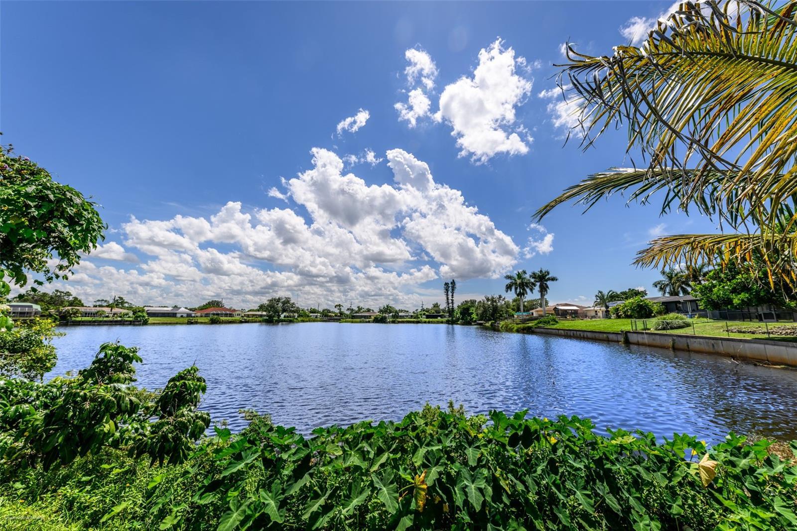 Photo of Listing #C7515165