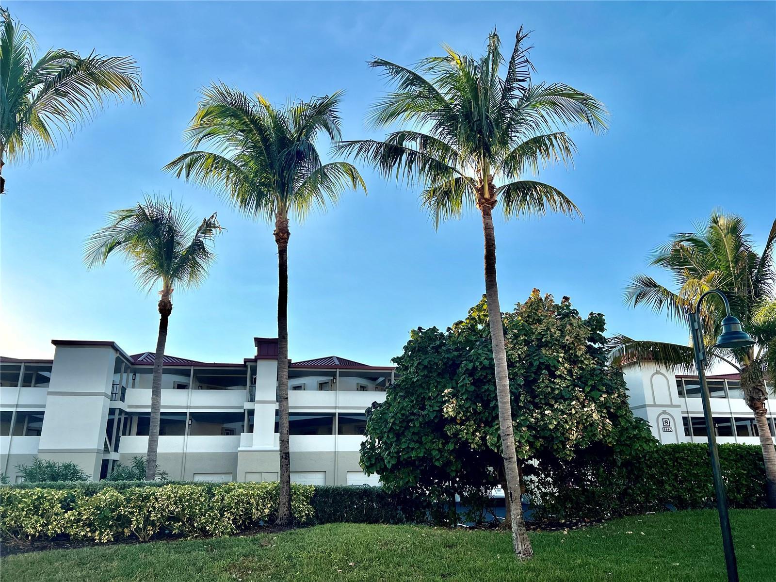 Photo of Listing #C7518074