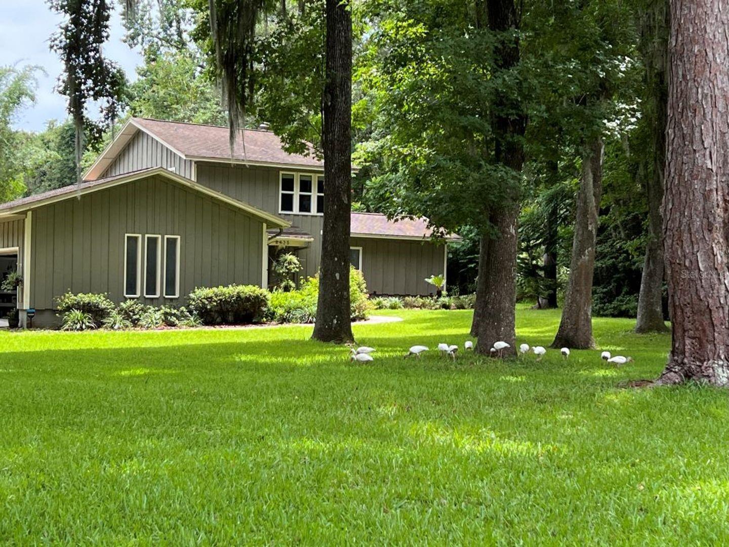 Photo of Listing #GC535982