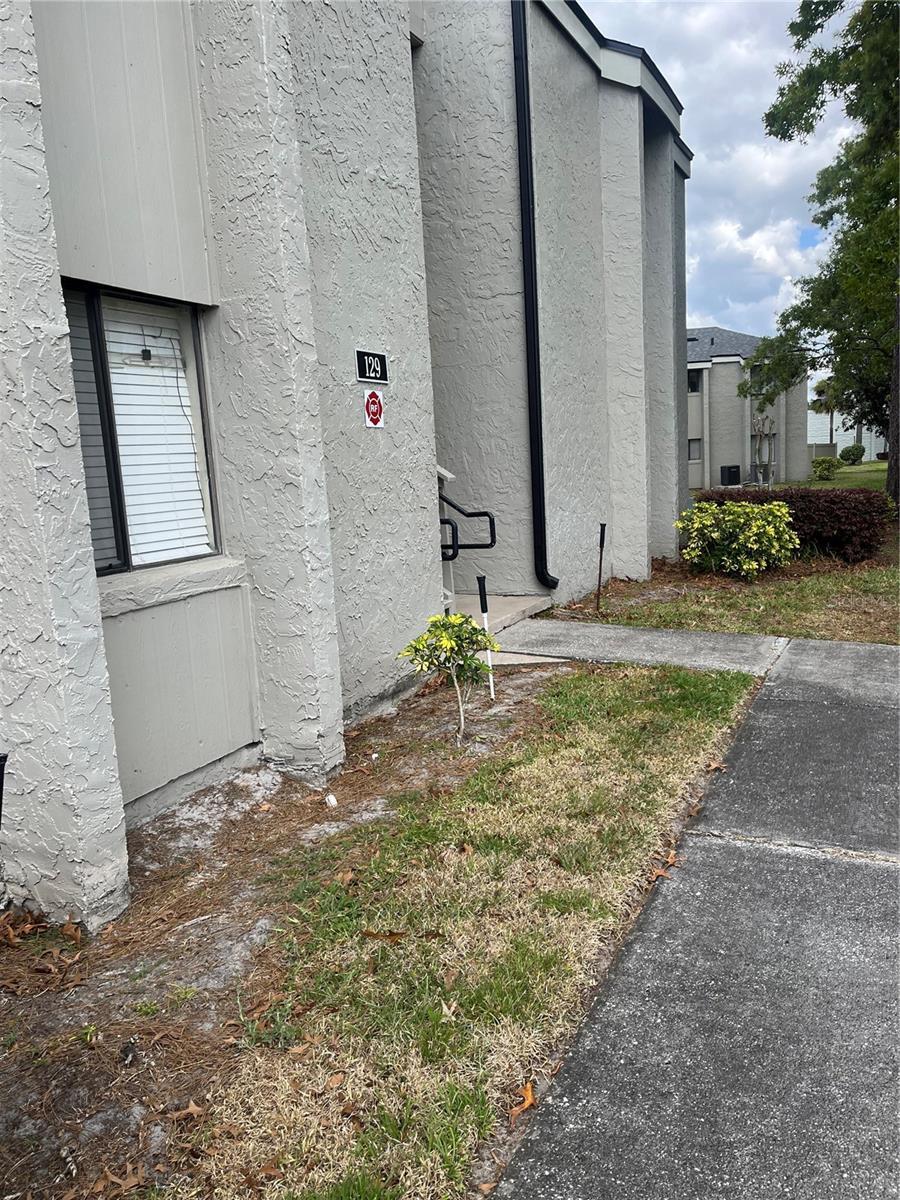 Photo of Listing #O6294601