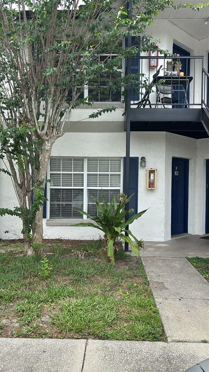 Photo of Listing #O6321749