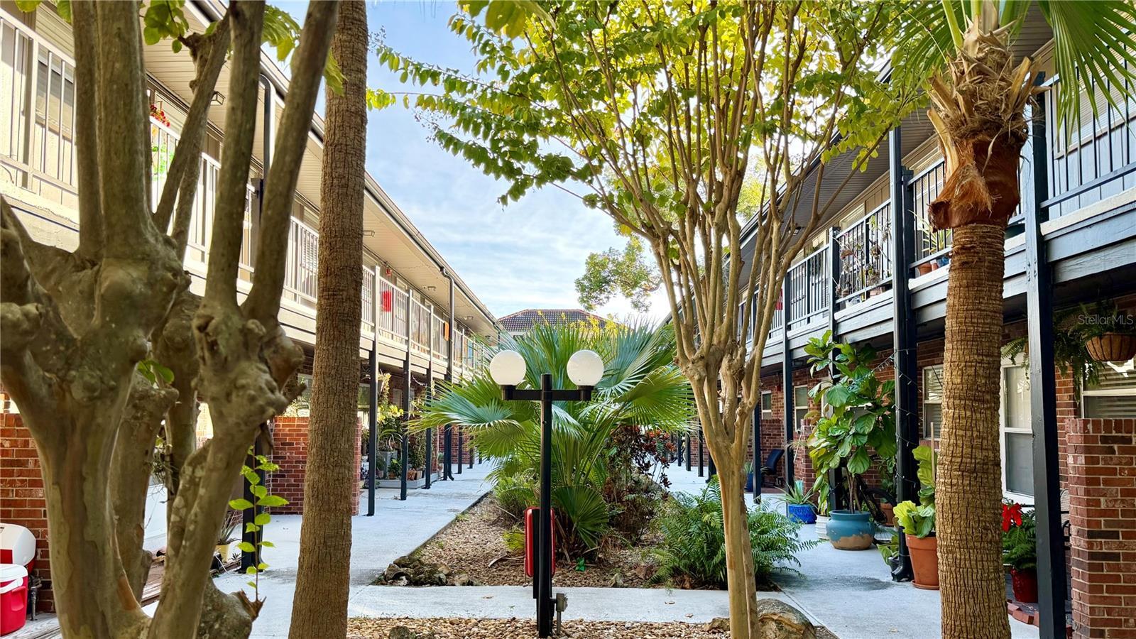 Photo of Listing #O6340720