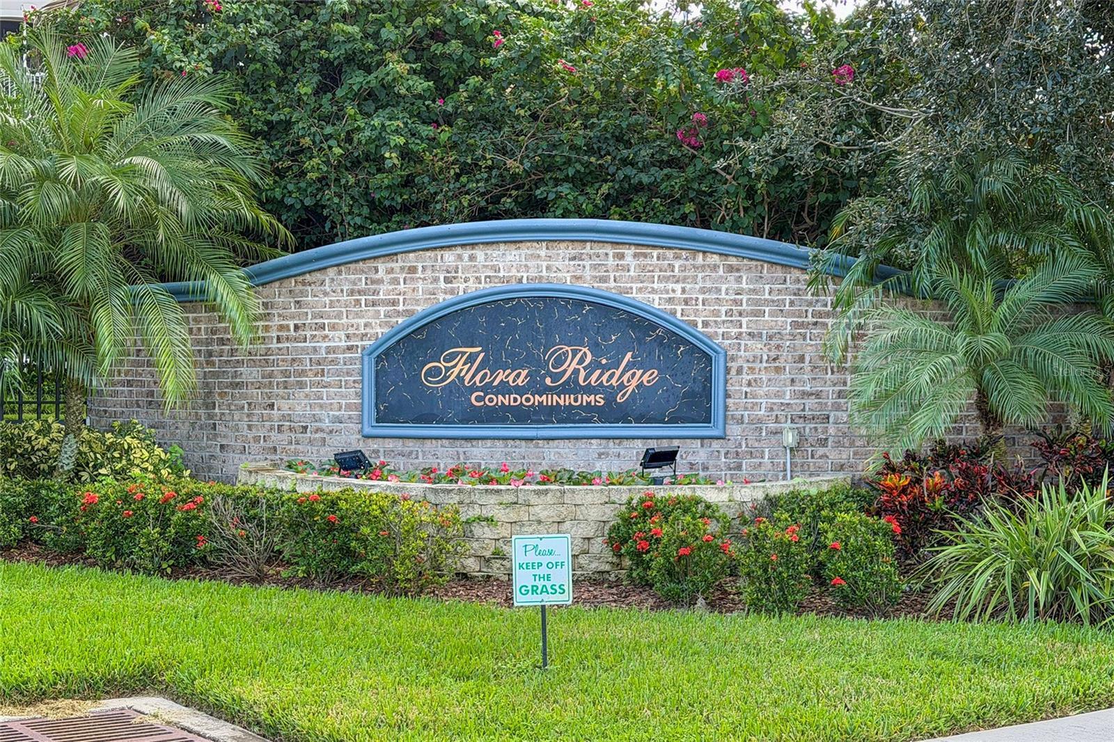 Photo of Listing #O6358352