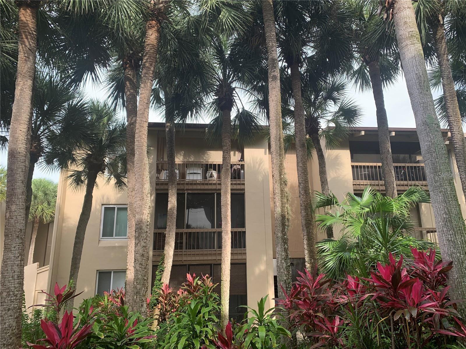 Photo of Listing #O6367649