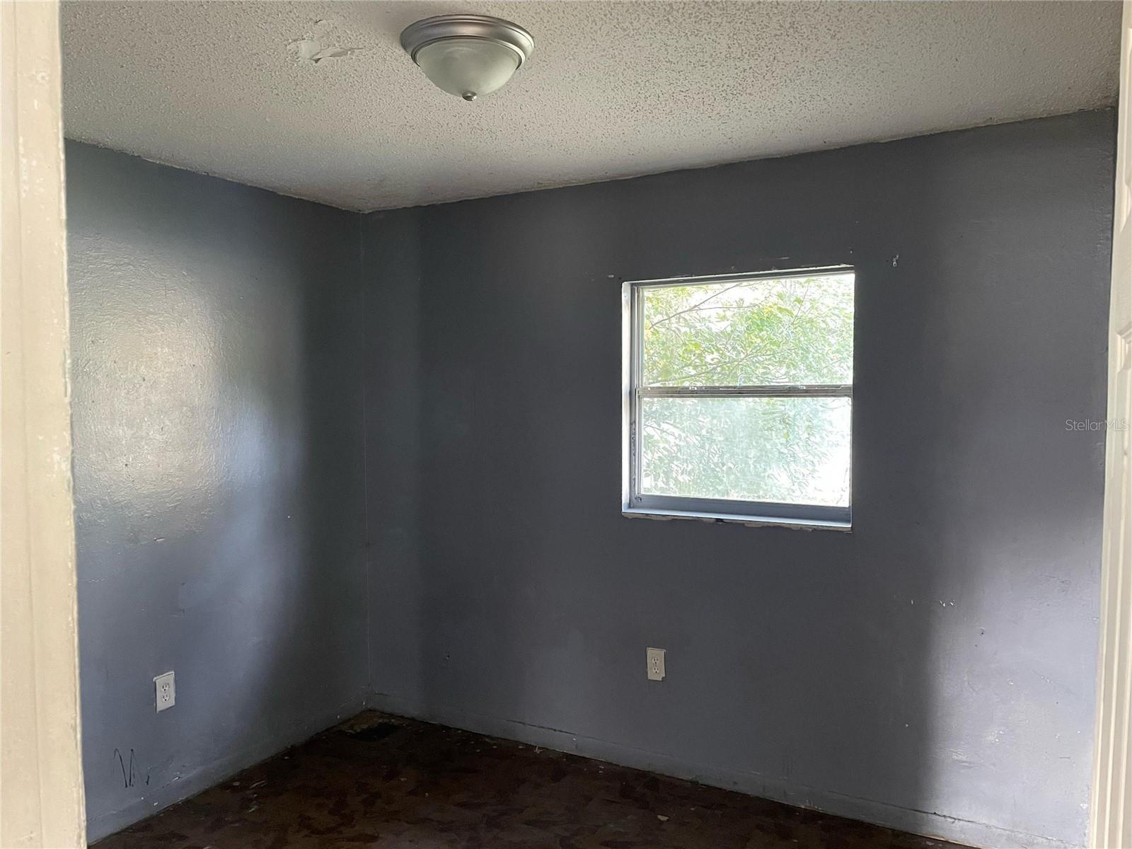 Photo of Listing #O6368031