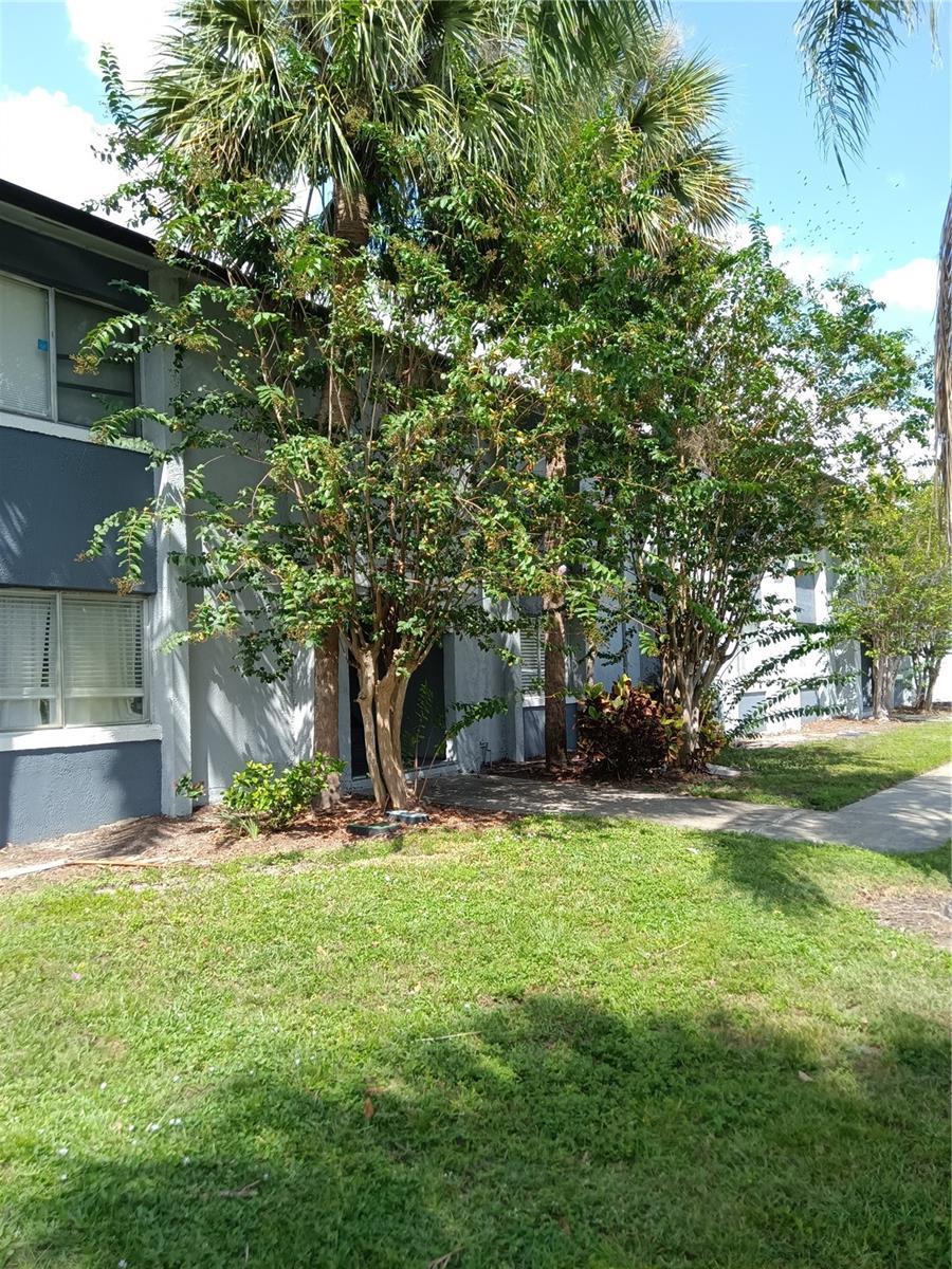 Photo of Listing #O6369042