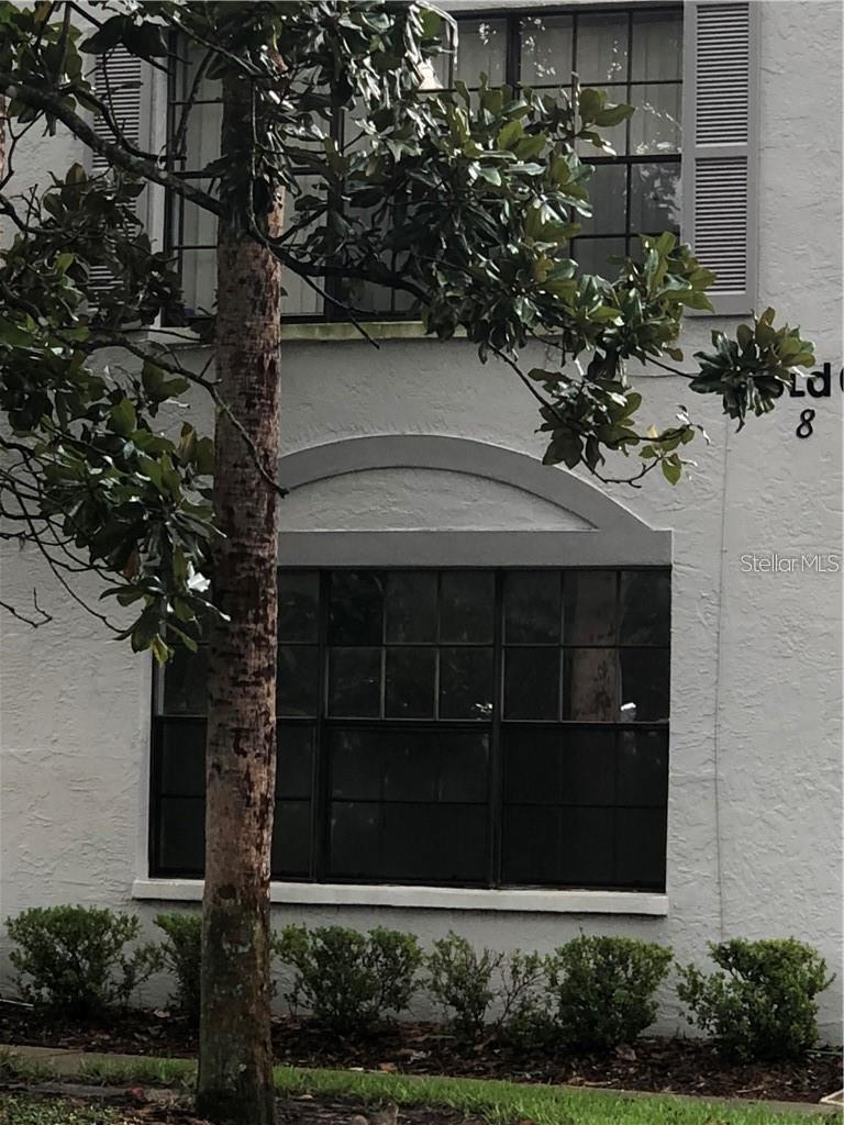 Photo of Listing #O6369986