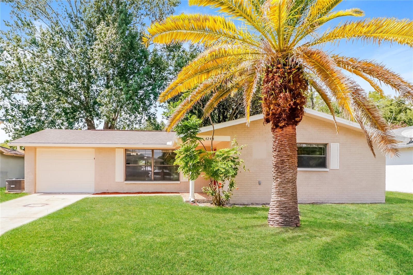 Photo of Listing #O6370234