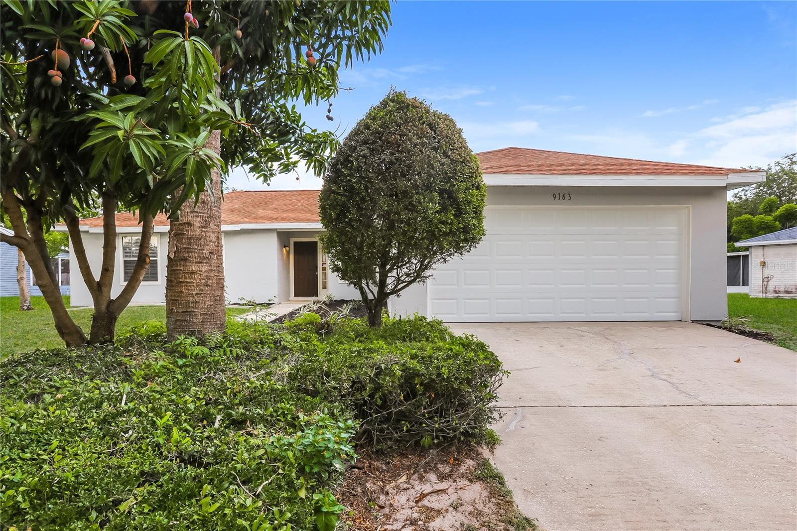 Photo of Listing #O6374135