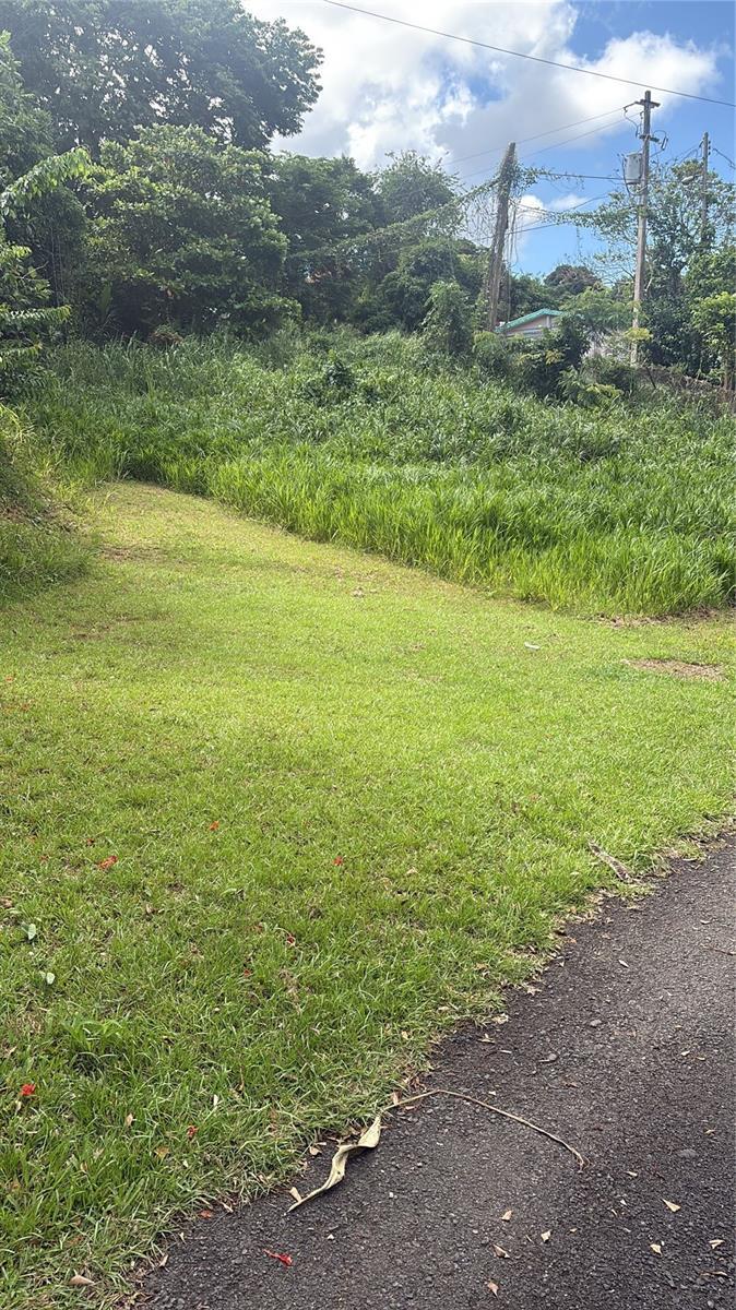 Photo of Listing #PR9115335