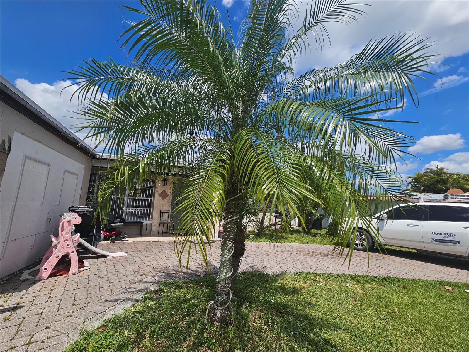 Photo of Listing #S5124321