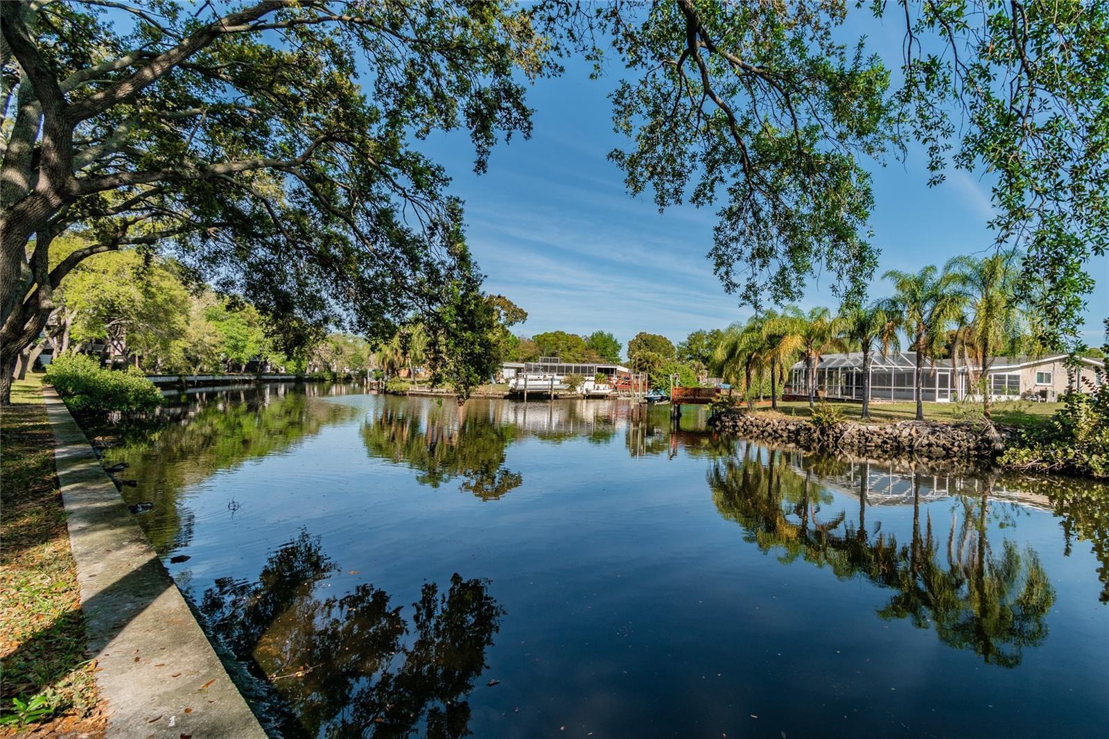 Photo of Listing #TB8325485