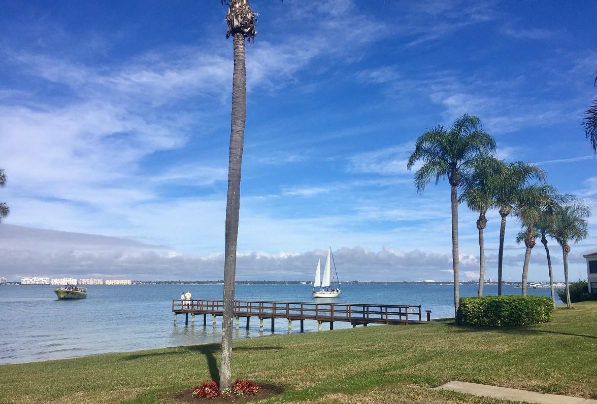 Photo of Listing #TB8337020