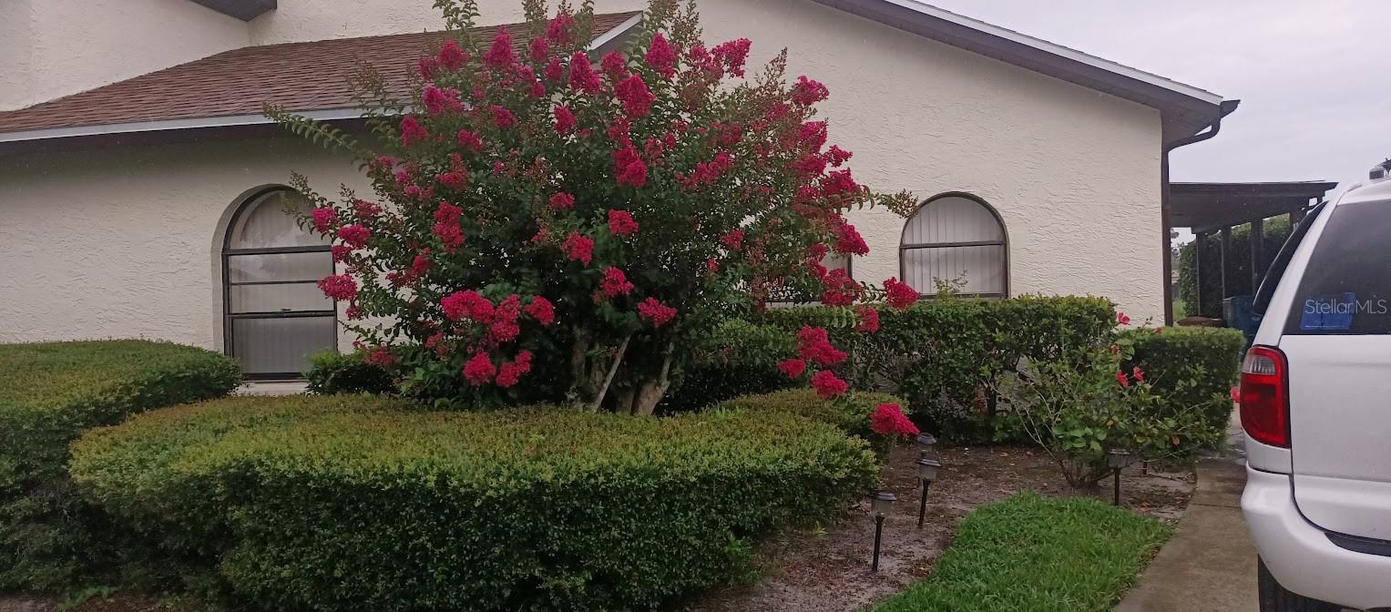 Photo of Listing #TB8356345