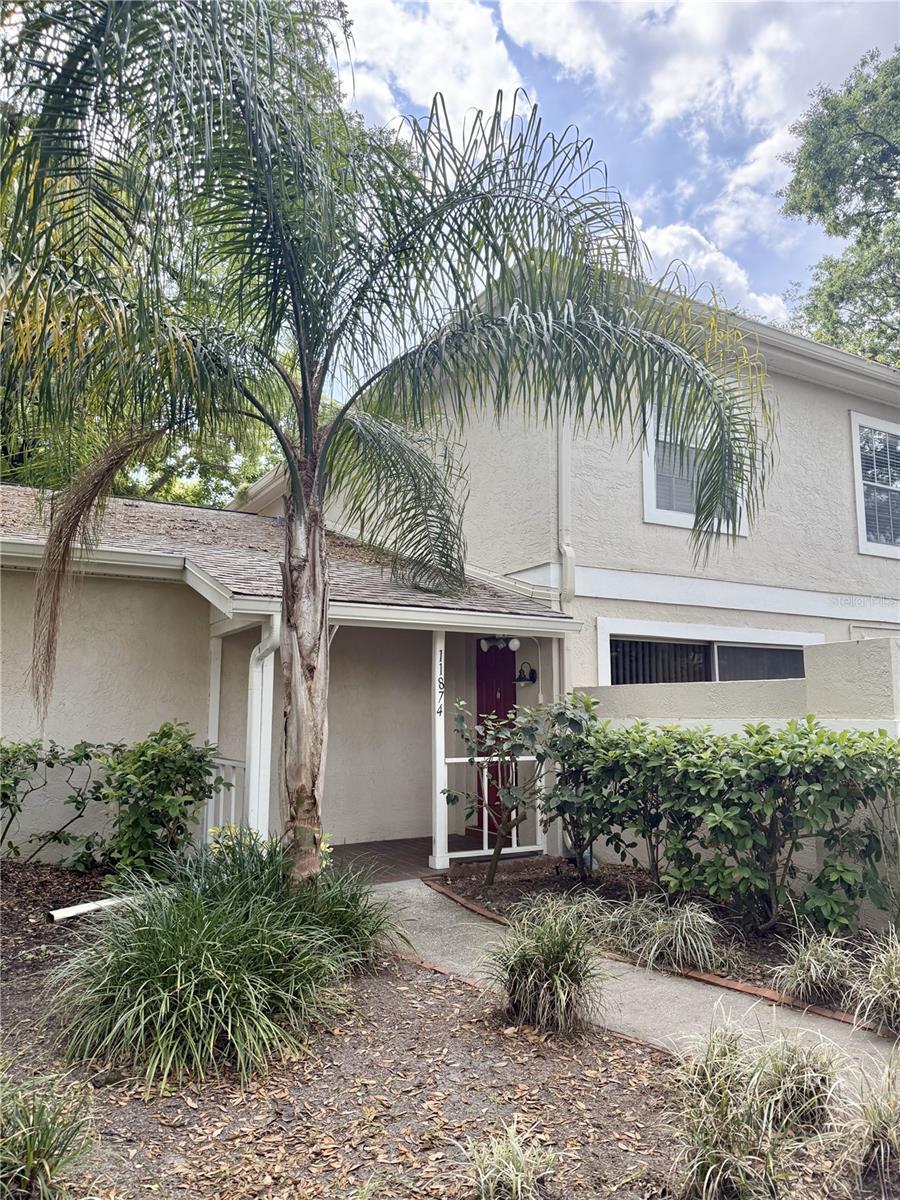 Photo of Listing #TB8366135