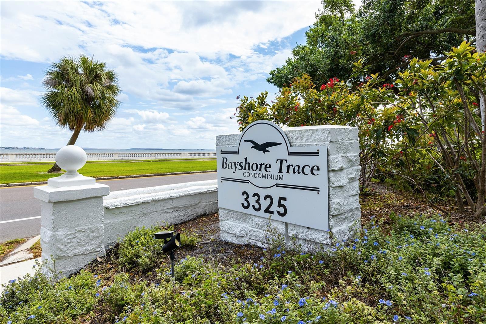 Photo of Listing #TB8369392