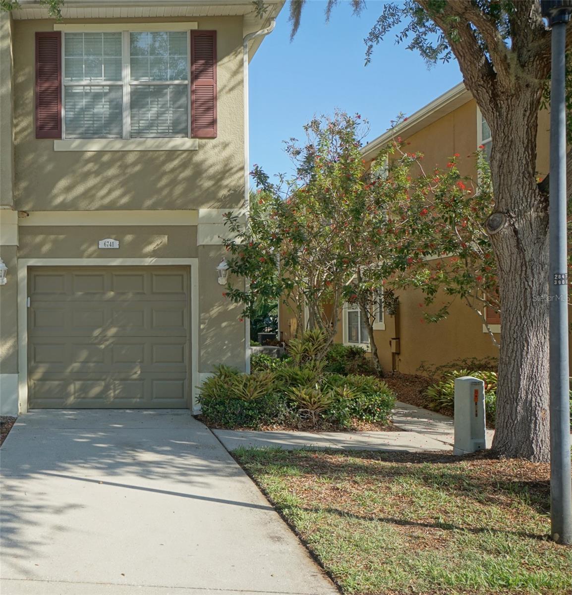Photo of Listing #TB8373690