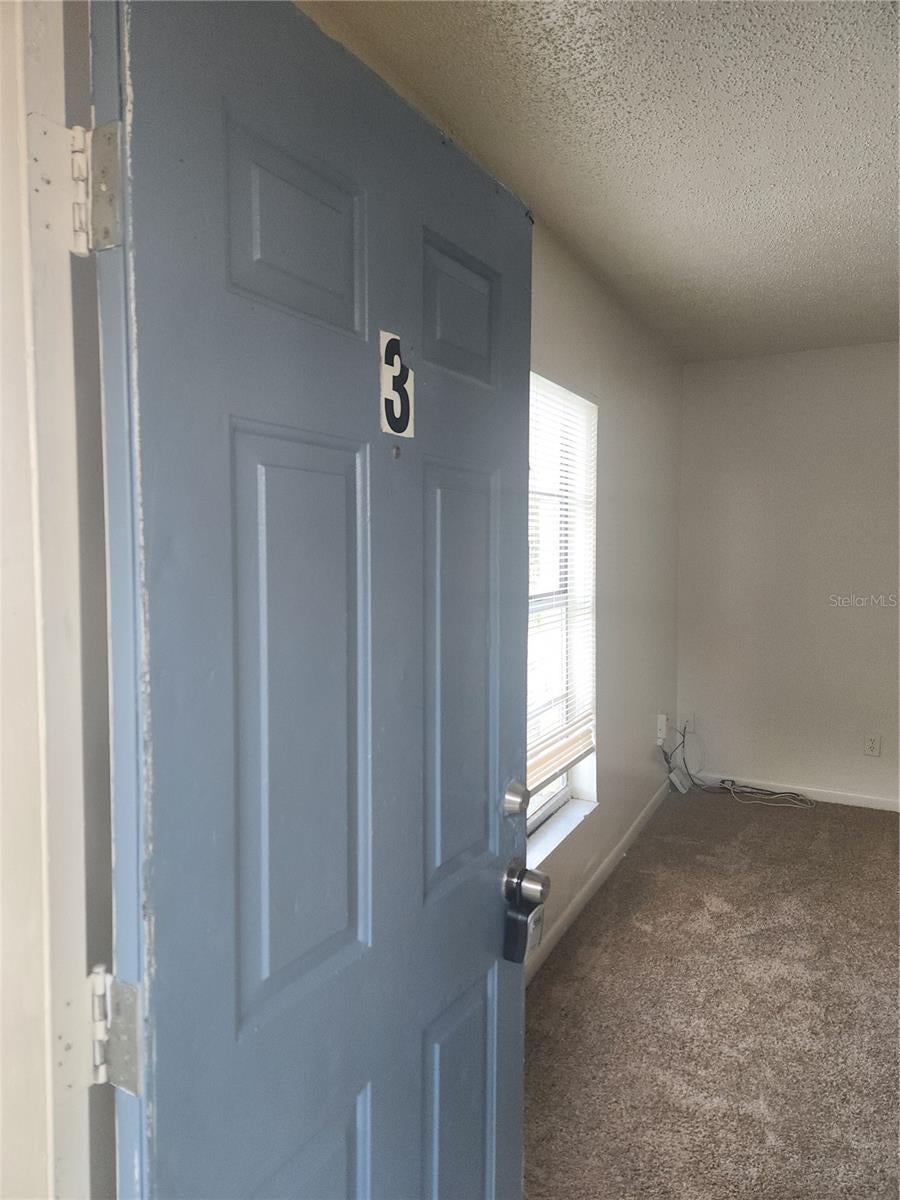 Photo of Listing #TB8377638